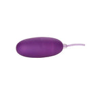 CalExotics Stimulators Pocket Exotics Bullet Waterproof - Purple at the Haus of Shag