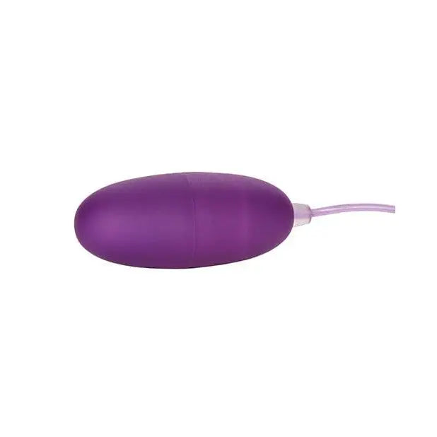 CalExotics Stimulators Pocket Exotics Bullet Waterproof - Purple at the Haus of Shag