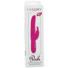 CalExotics Vibrator Pink Posh 10 Function Bounding Bunny at the Haus of Shag