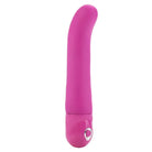 CalExotics Vibrator Pink Power Stud G W/p at the Haus of Shag