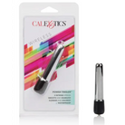 CalExotics Vibrator Power Tingler Mini Massager - Silver at the Haus of Shag