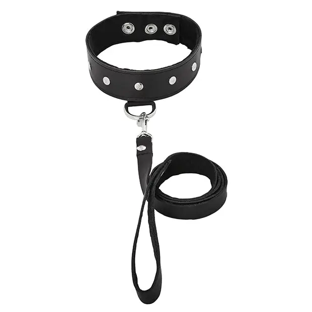 Premium Leather Leash & Collar - Collar