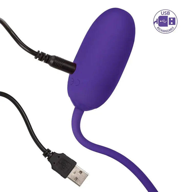 Rechargeable Kegel Ball - Purple - Kegel Balls