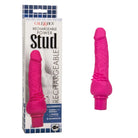 CalExotics Vibrator Rechargeable Power Stud Cliterrific at the Haus of Shag