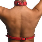 Strict Red Female Chest Harness - Upper Body Harness