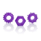 CalExotics Sextoys for Couples Reversible Ring Set Purple at the Haus of Shag