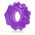 CalExotics Sextoys for Couples Reversible Ring Set Purple at the Haus of Shag