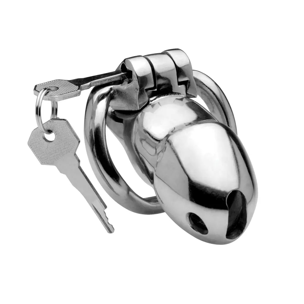 Master Series Cock Cage Rikers 24-7 Stainless Steel Locking Chastity Cage at the Haus of Shag