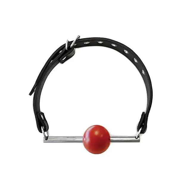 Rouge Leather Ball Gag With Stainless Steel Rod And Removable Ball - Black With Red - Ball Gag