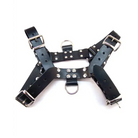 Rouge Over The Head Harness - Medium - Harness