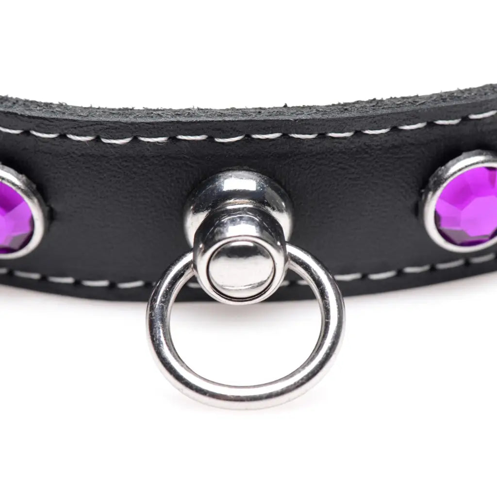 Master Series Collar Royal Vixen Leather Choker With Rhinestones - Purple at the Haus of Shag