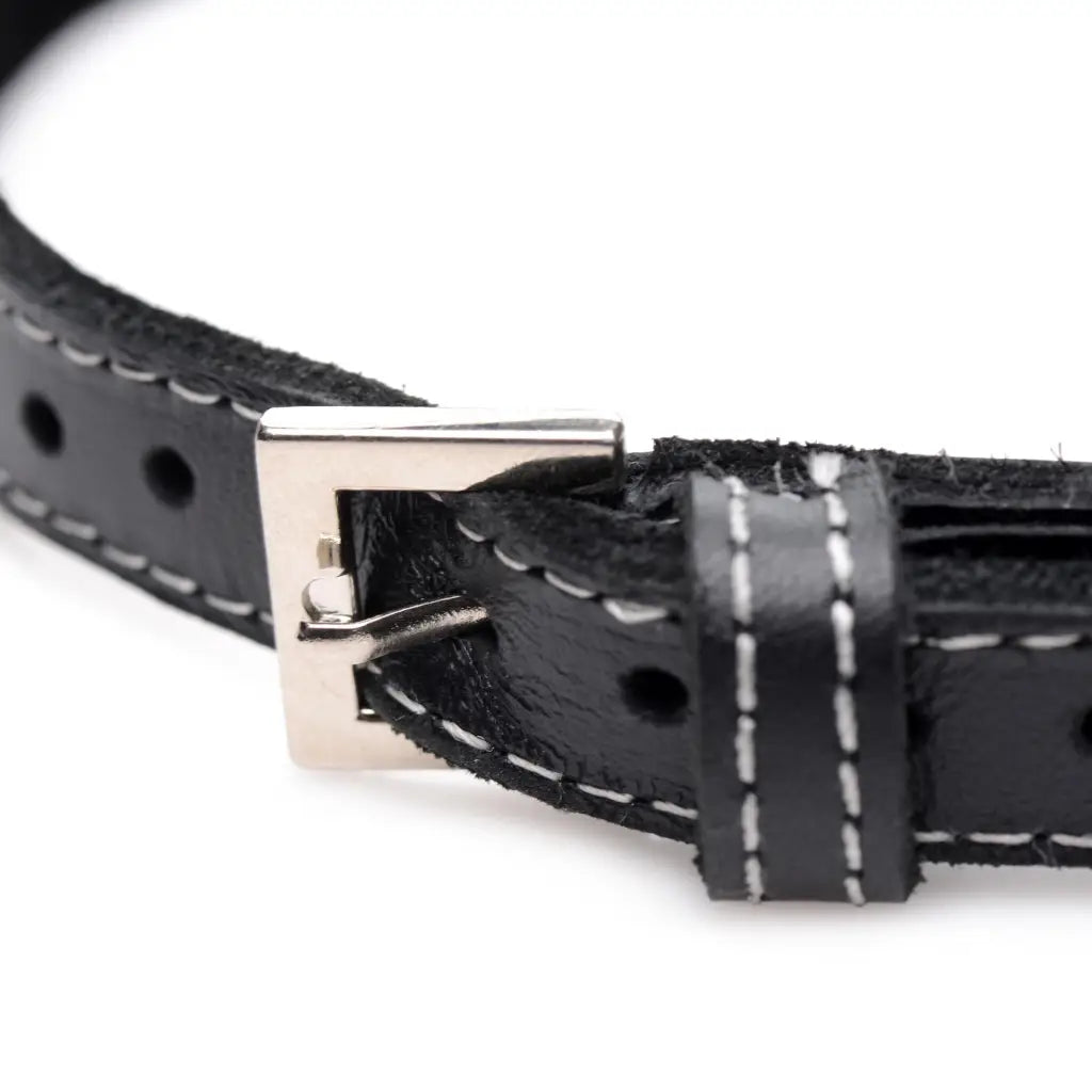 Master Series Collar Royal Vixen Leather Choker With Rhinestones - Purple at the Haus of Shag