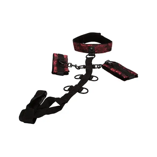 CalExotics Bondage Blindfolds & Restraints Scandal Collar Body Restraint - Black/red at the Haus of Shag