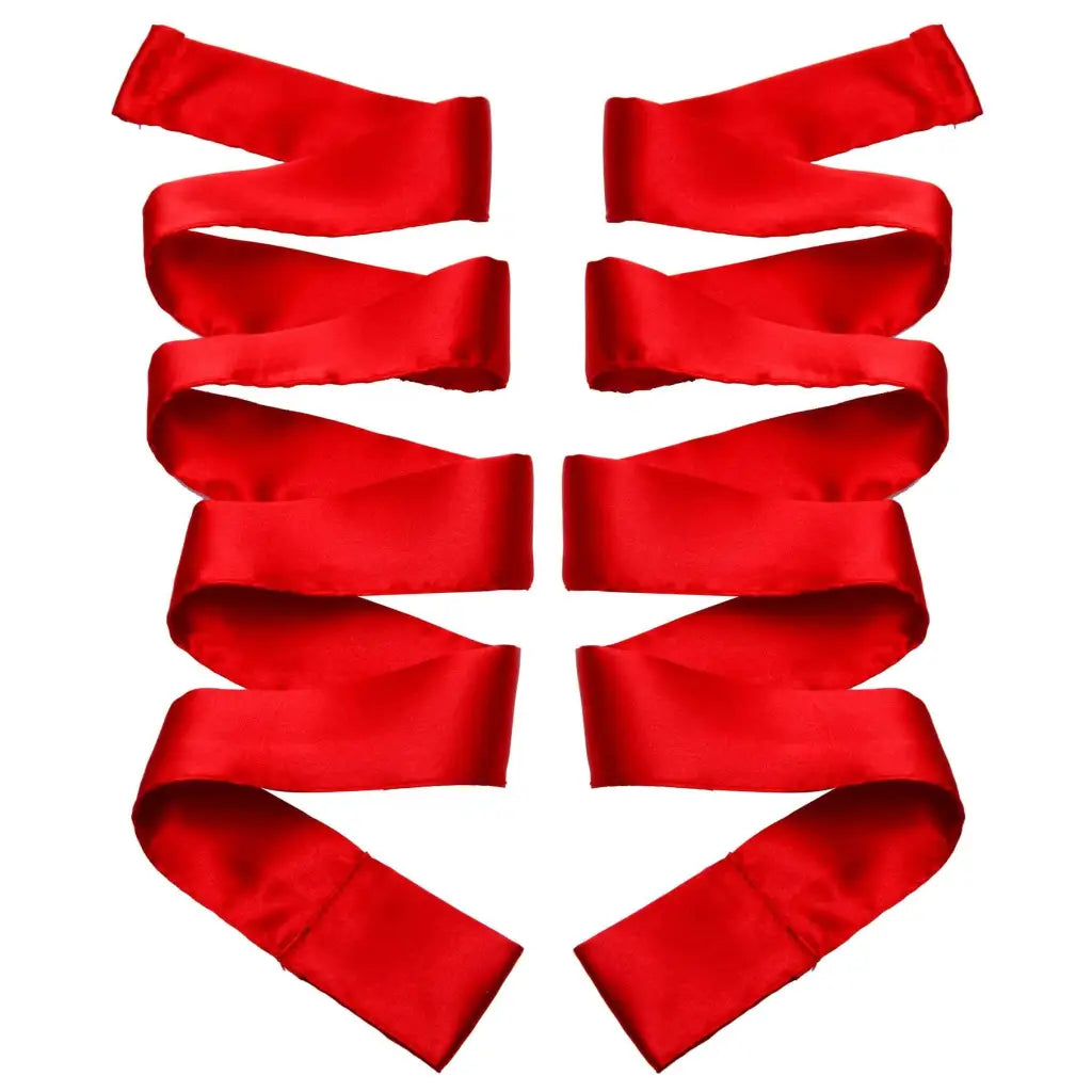 Greygasms Sash Scarlet Red Satin Sash Set at the Haus of Shag