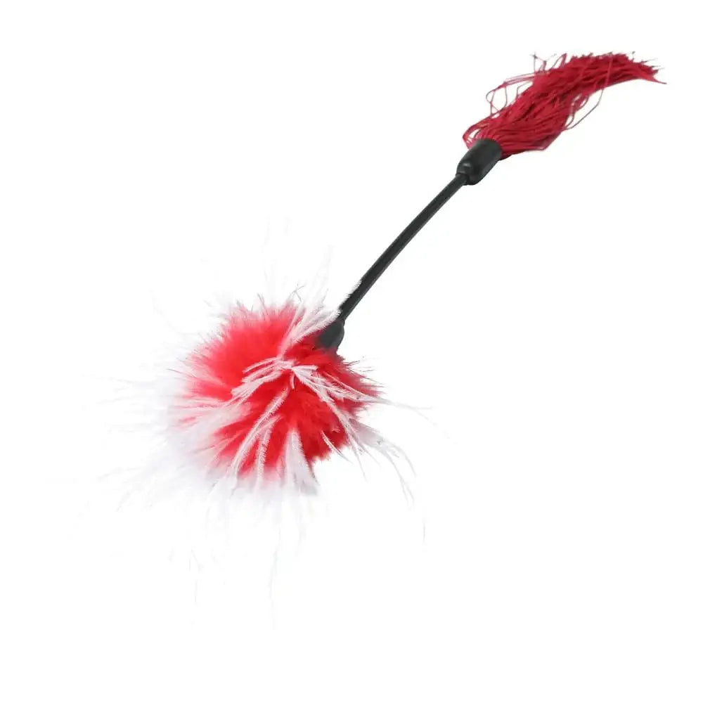 Sex & Mischief Whip & Tickle with red plume feather duster on a black handle