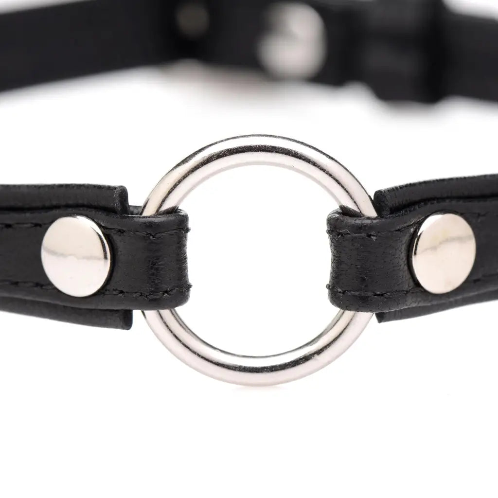 Master Series Collar Sex Pet Leather Choker With Silver Ring at the Haus of Shag