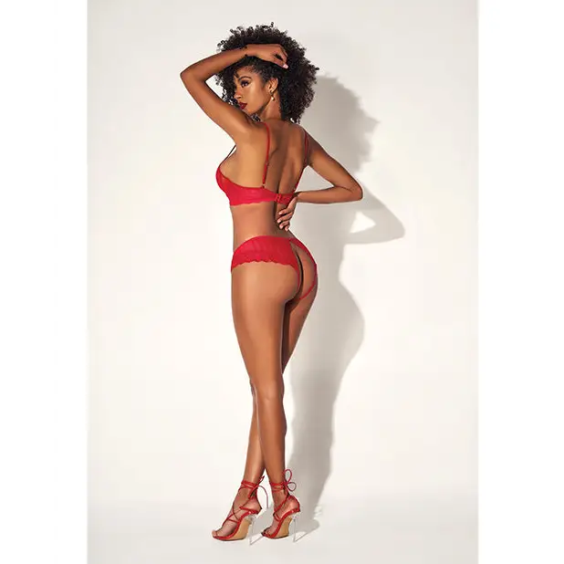 Shadow Stripe Underwire Top W/heart Detail & Crotchless Bottom Red - Lingerie Set