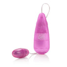 CalExotics Sextoys for Women Shanes World Her Stimulator at the Haus of Shag