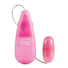 CalExotics Sextoys for Women Shanes World Her Stimulator at the Haus of Shag