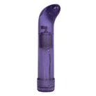 CalExotics Vibrator Shane's World Sparkle G Vibe - Purple at the Haus of Shag