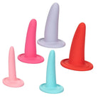 CalExotics Holiday Items She-ology 5pc Vaginal Dilator Set at the Haus of Shag