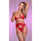 Magic Silk Lingerie Lingerie Set S/M Sheer Mesh Bra Garter Belt & Panty Set Red at the Haus of Shag