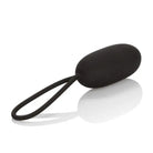 CalExotics Sextoys for Women Silicone Remote Rechargeable Egg at the Haus of Shag