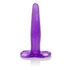 CalExotics Anal Toys Purple Silicone Tee Probe at the Haus of Shag