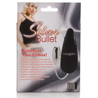 CalExotics Stimulators Silver Bullet at the Haus of Shag