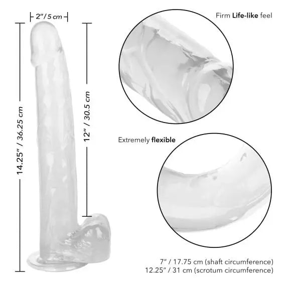 CalExotics Dildos Size Queen 12in at the Haus of Shag