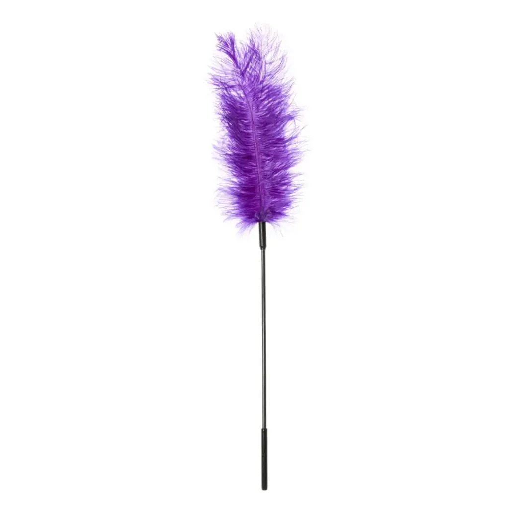 Sportsheet Ostrich Feather - Tickler