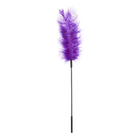 Sportsheet Ostrich Feather - Tickler