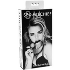 Sportsheets Sex & Mischief red solid ball gag packaging featuring a woman in black and white