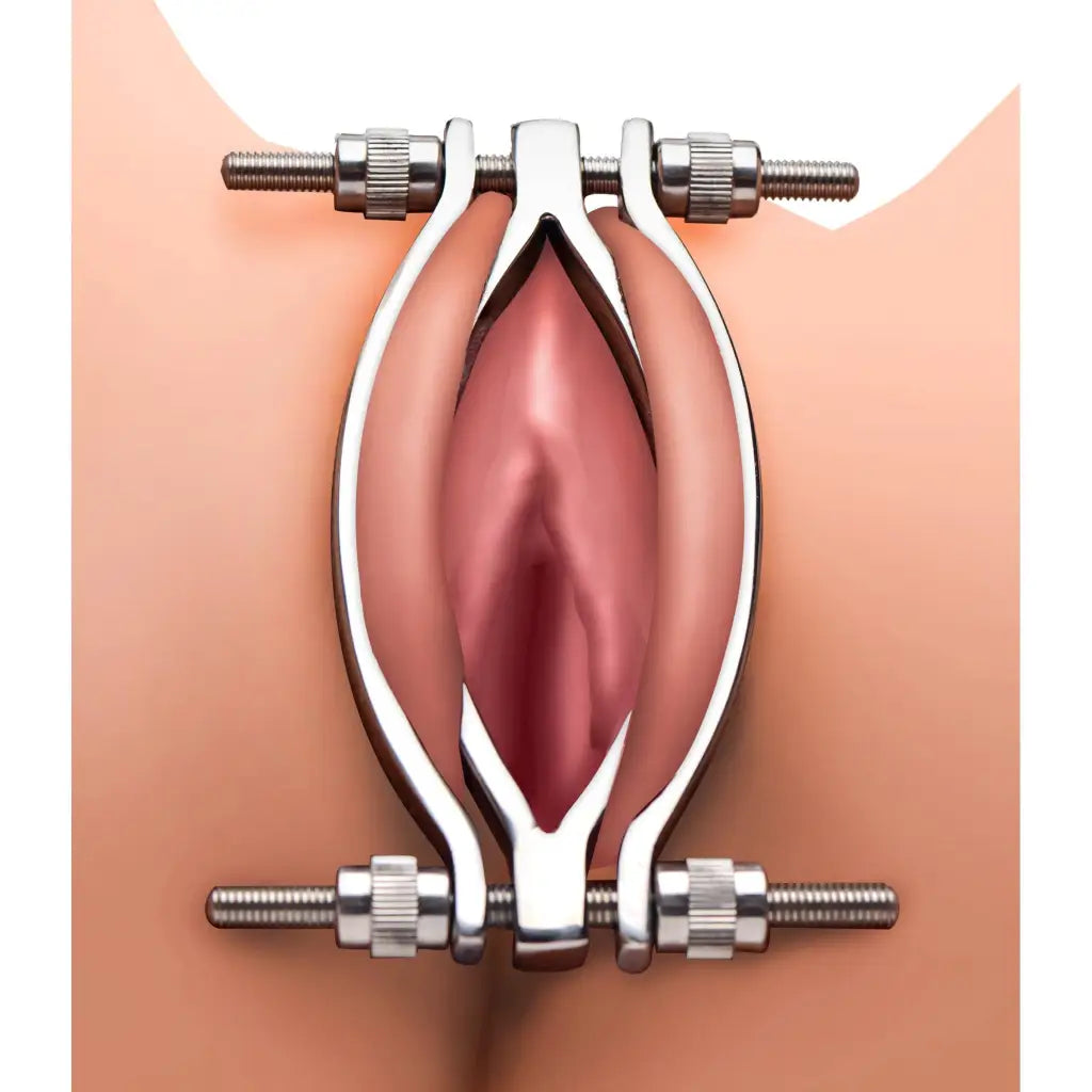 Master Series Leatherr Stainless Steel Adjustable Pussy Clamp at the Haus of Shag