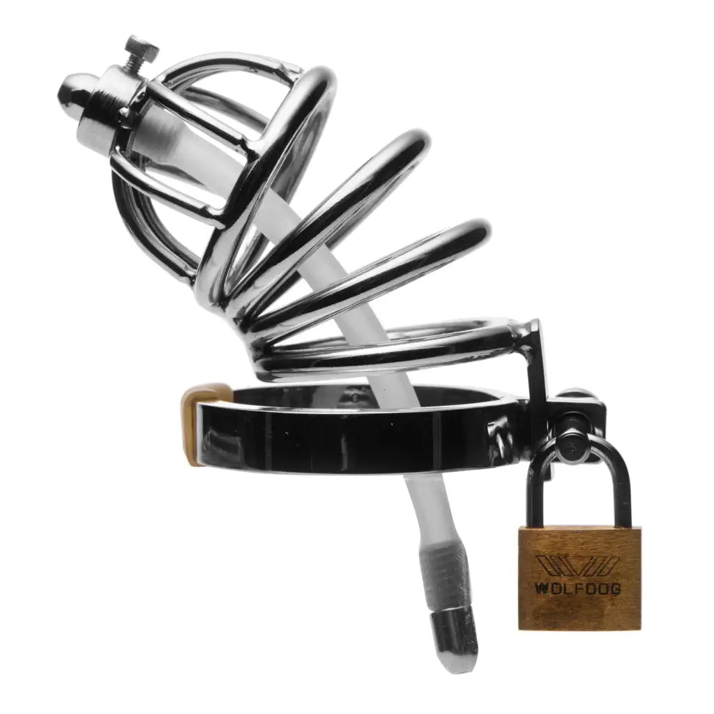 Ultimate Control with Stainless Steel Chastity Cage & Silicone Urethral  Plug – The Haus of Shag