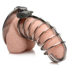 Master Series Chastity Stainless Steel Spiked Chastity Cage at the Haus of Shag