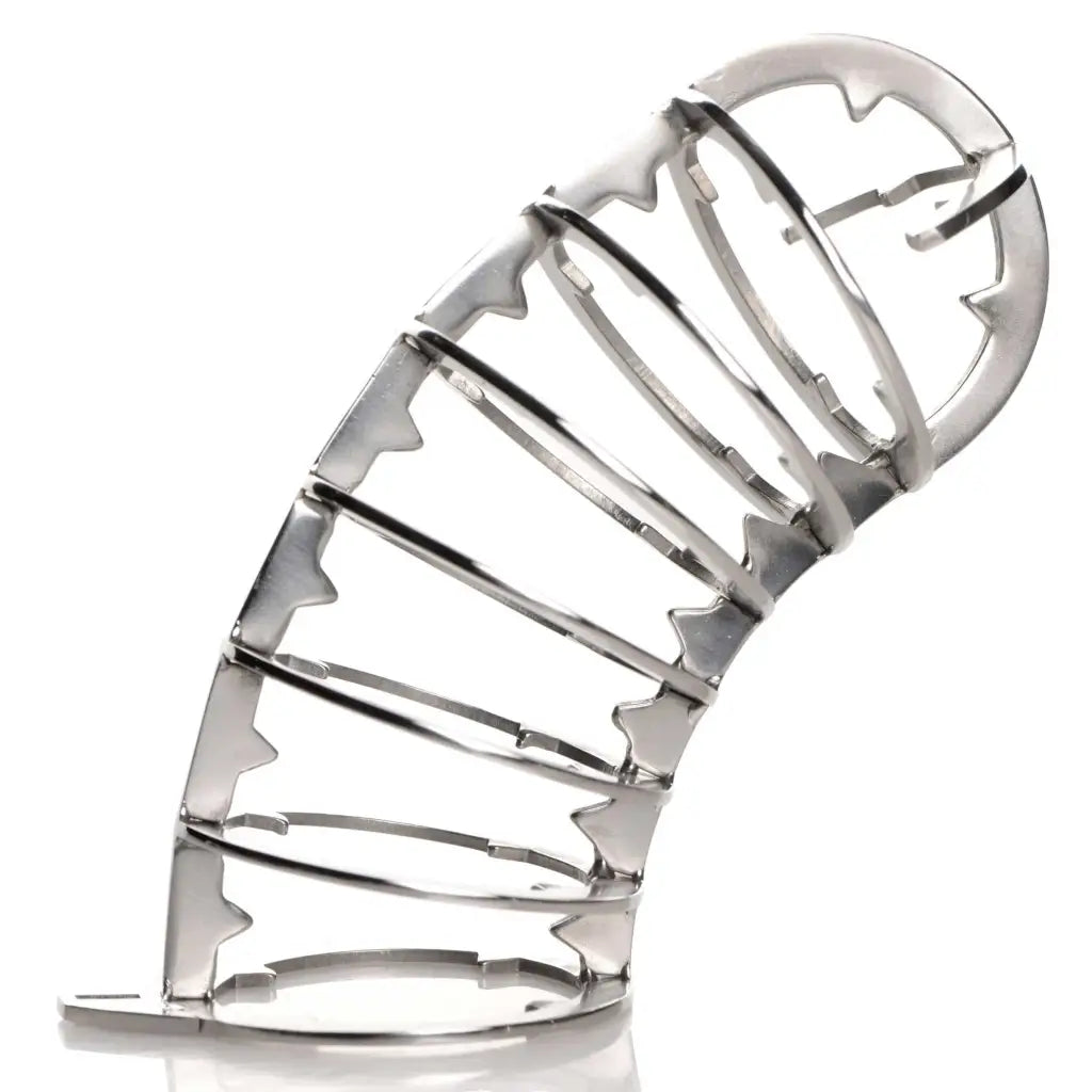 Master Series Chastity Stainless Steel Spiked Chastity Cage at the Haus of Shag