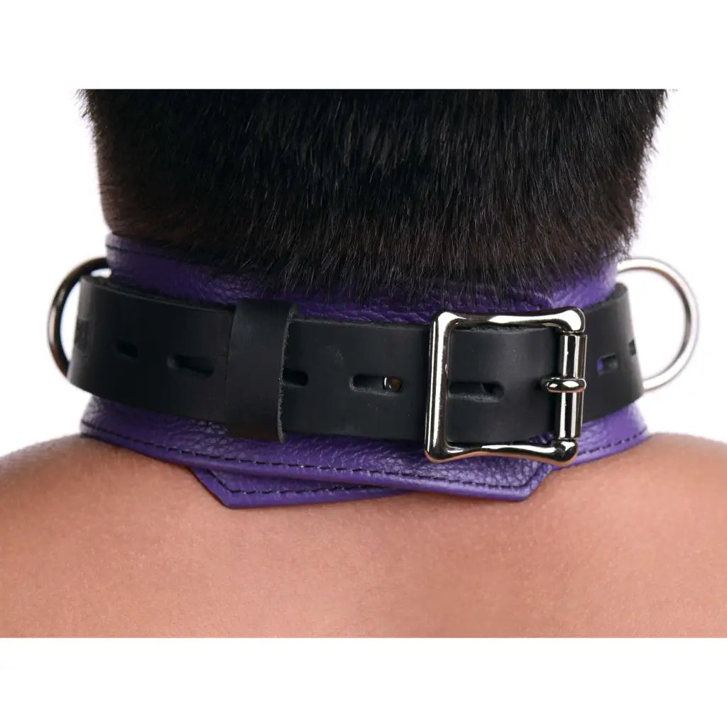 Strict Leather Leatherr Strict Leather Deluxe Locking Collar - And Black at the Haus of Shag