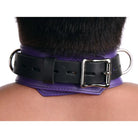 Strict Leather Leatherr Strict Leather Deluxe Locking Collar - And Black at the Haus of Shag