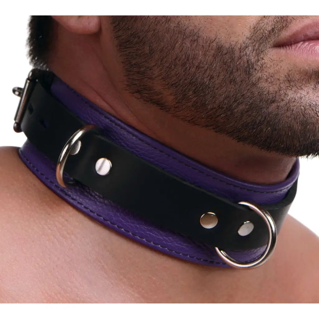 Strict Leather Leatherr Strict Leather Deluxe Locking Collar - And Black at the Haus of Shag