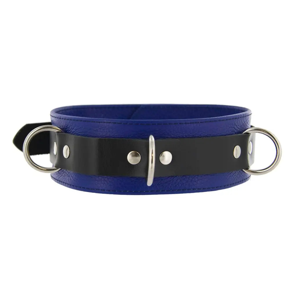 Strict Leather Leatherr Blue And Black Strict Leather Deluxe Locking Collar - And Black at the Haus of Shag