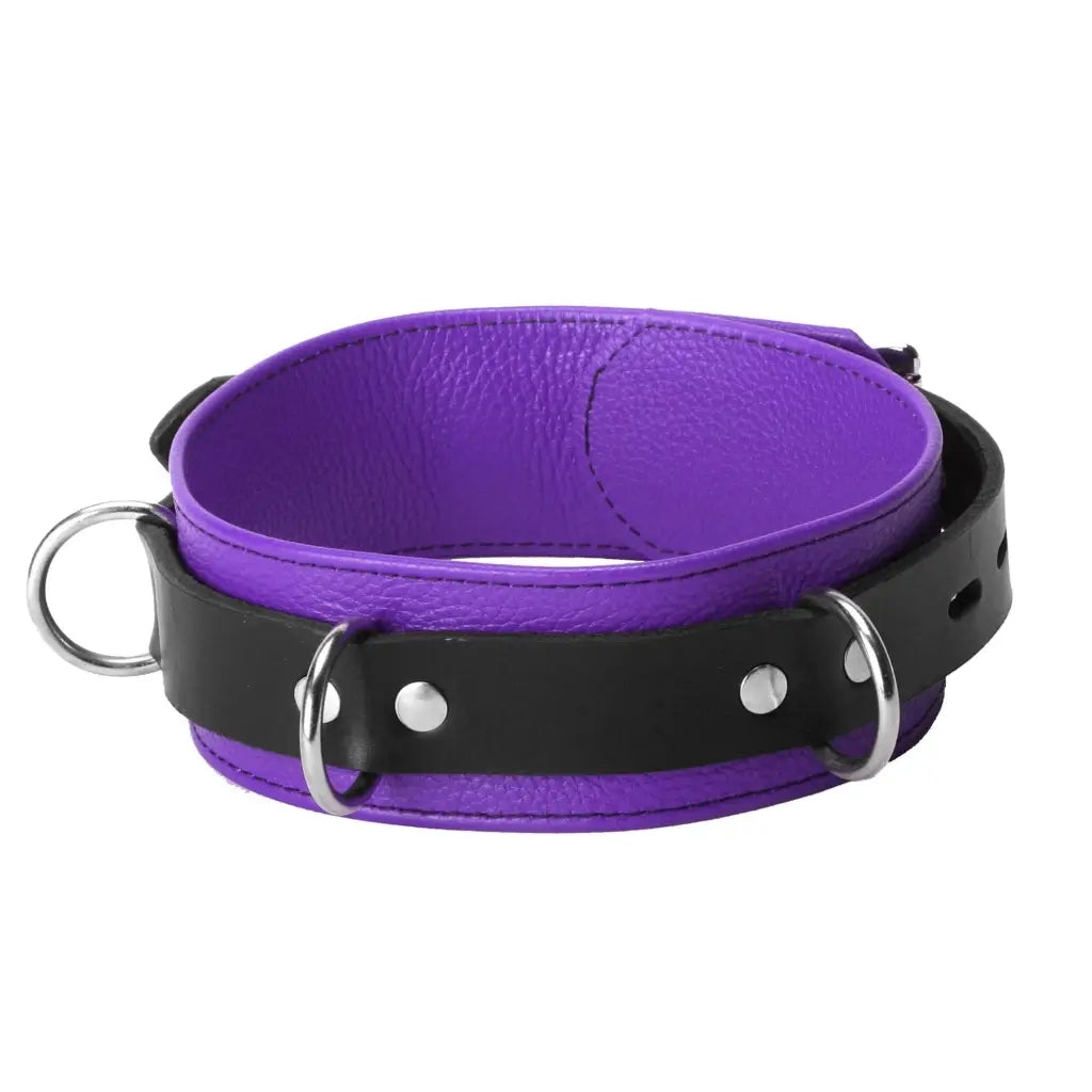 Strict Leather Leatherr Purple And Black Strict Leather Deluxe Locking Collar - And Black at the Haus of Shag