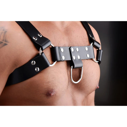 Strict Leather Harness English Bull Dog Harness at the Haus of Shag