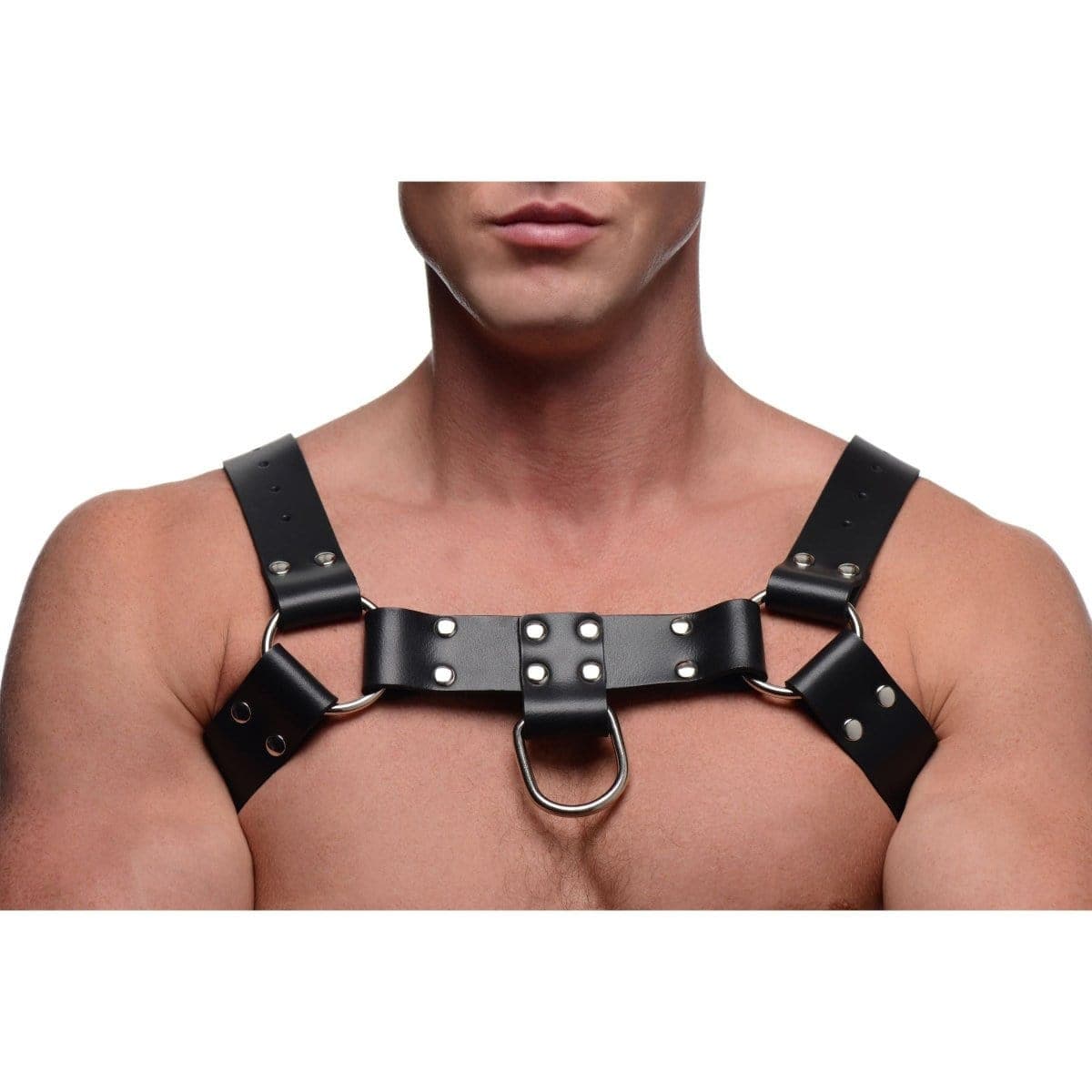 Strict Leather Harness English Bull Dog Harness With Cock Strap at the Haus of Shag