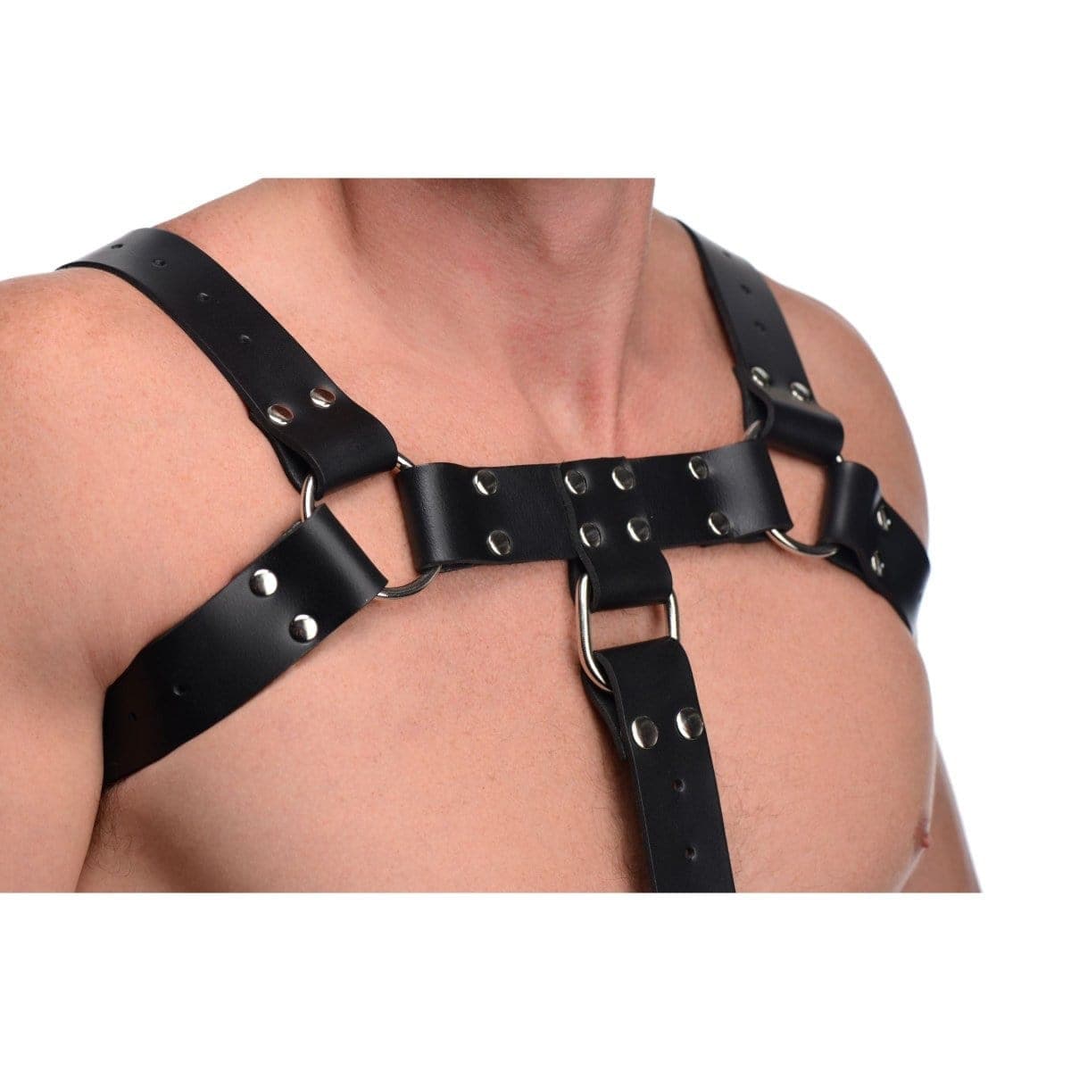 Strict Leather Harness English Bull Dog Harness With Cock Strap at the Haus of Shag