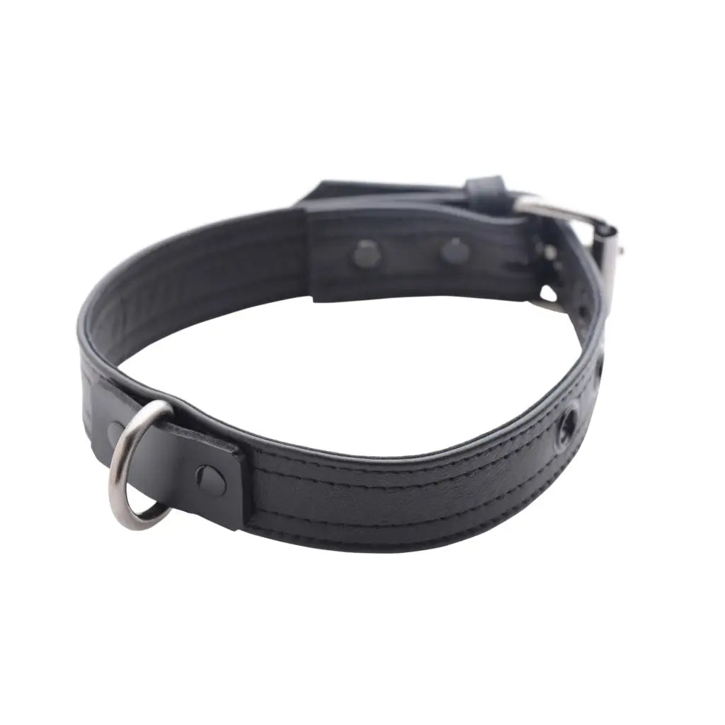 Strict Leather Collar Strict Leather Luxury Locking Collar at the Haus of Shag