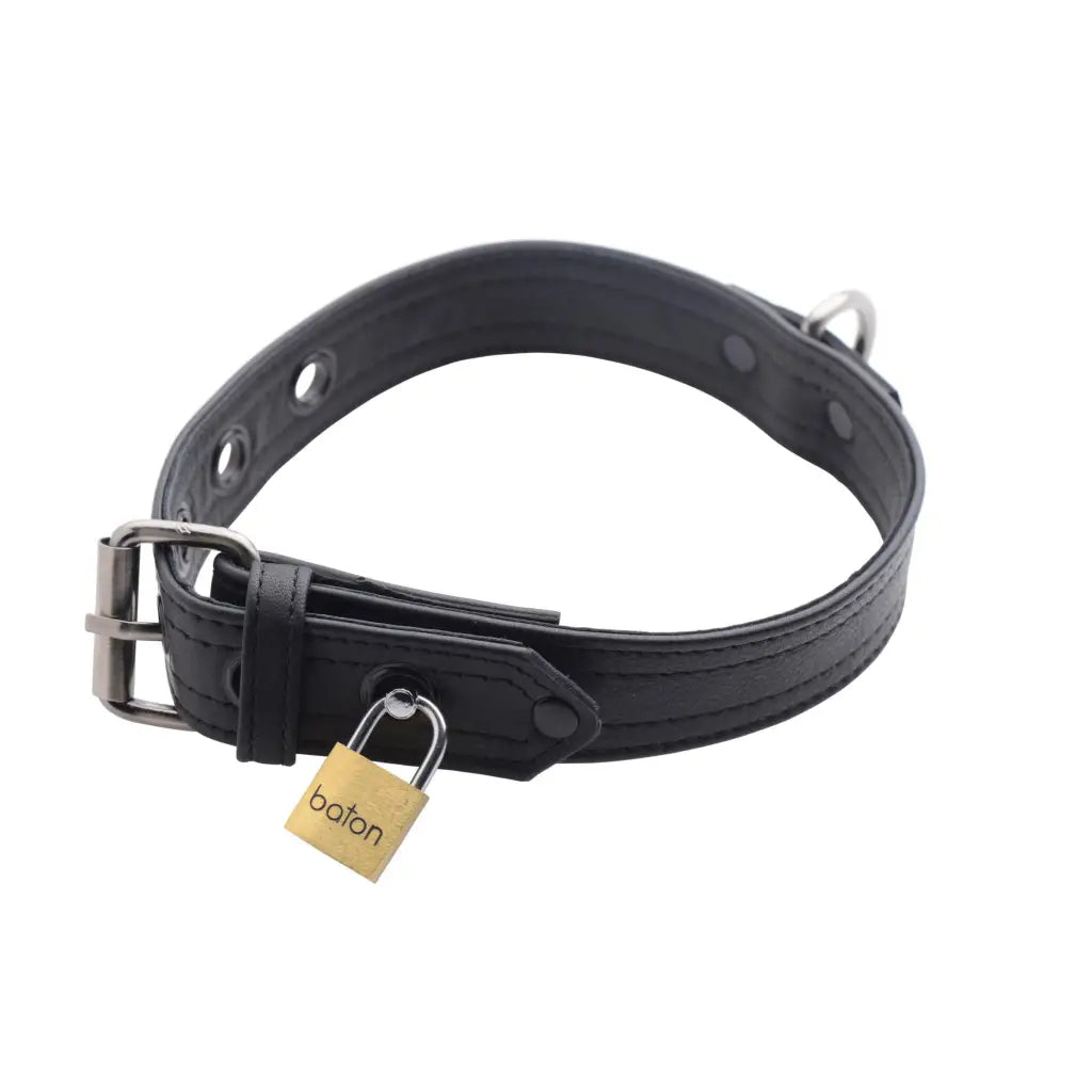 Strict Leather Collar Strict Leather Luxury Locking Collar at the Haus of Shag