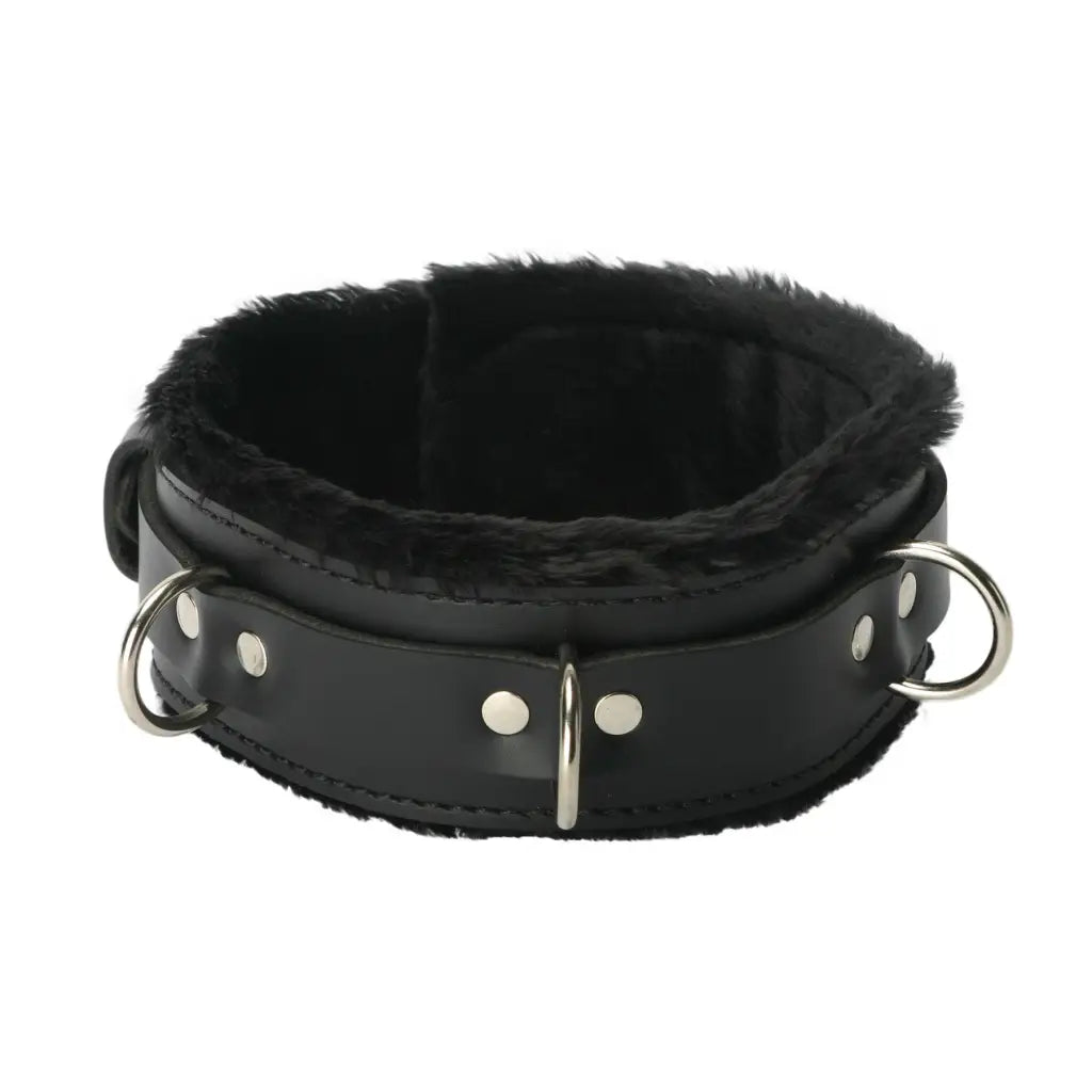 Strict Leather Leatherr Strict Leather Premium Fur Lined Locking Collar at the Haus of Shag