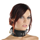 Strict Leather Leatherr Strict Leather Premium Fur Lined Locking Collar at the Haus of Shag