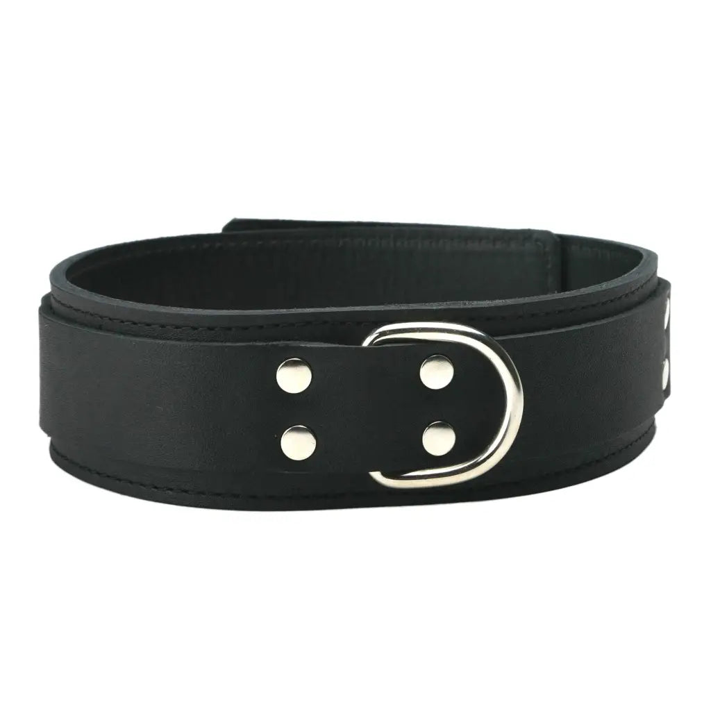 Strict Leather Leatherr Strict Leather Standard Lined Collar at the Haus of Shag